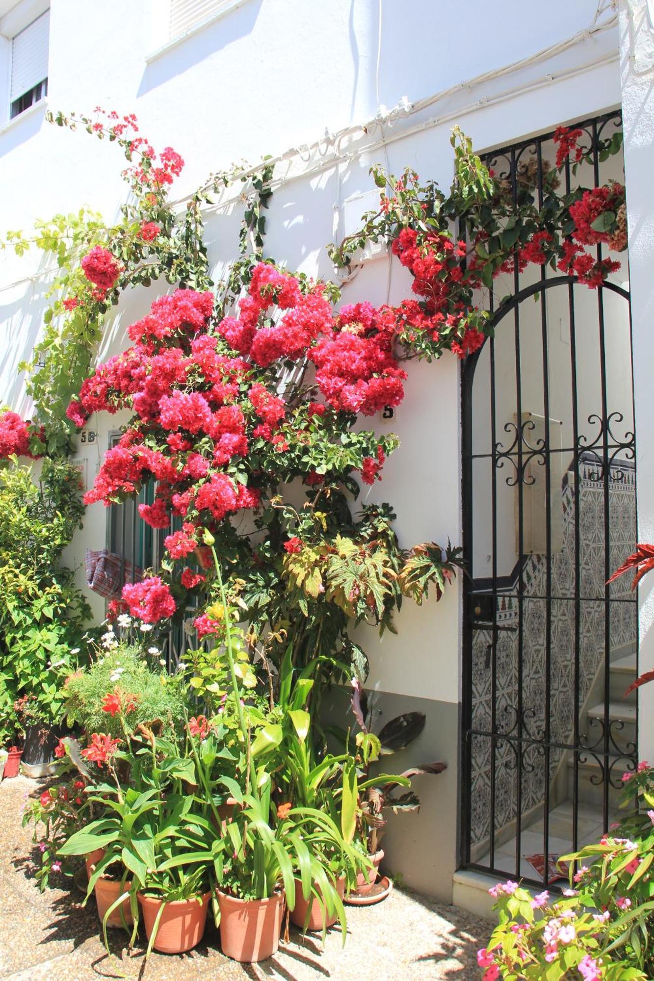 Casa Magallanes Conil Villa Conil De La Frontera Buitenkant foto